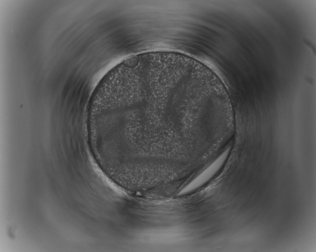 X0000099471142200806061213