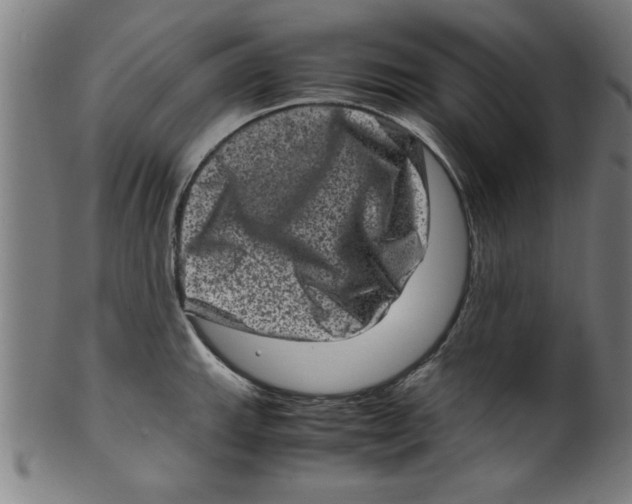 X0000099471143200806061213