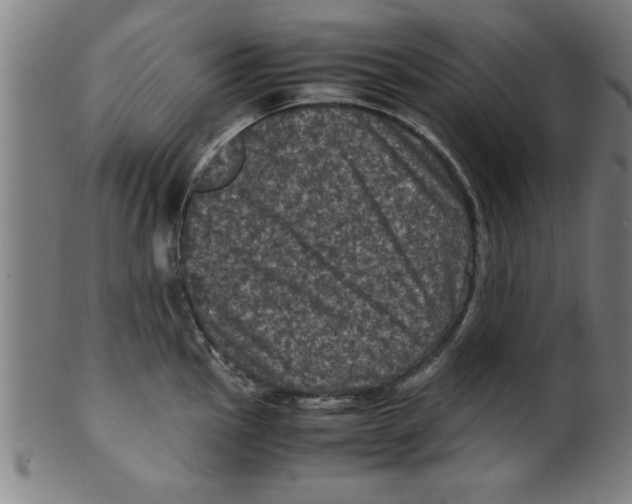 X0000099471145200806061213