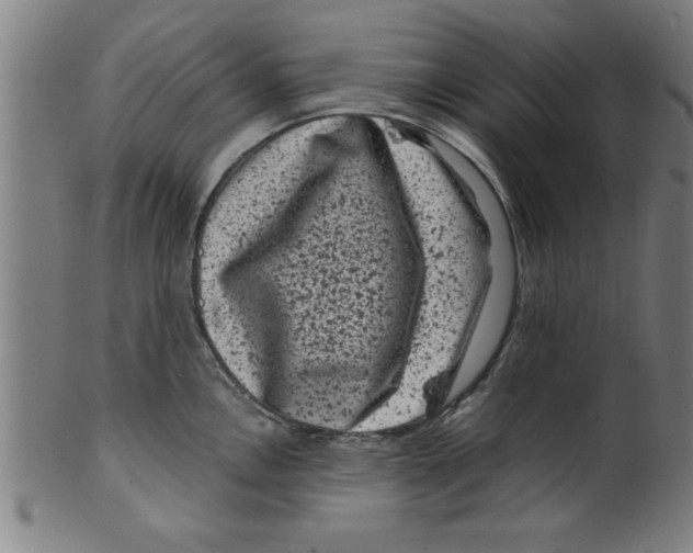 X0000099471146200806061214