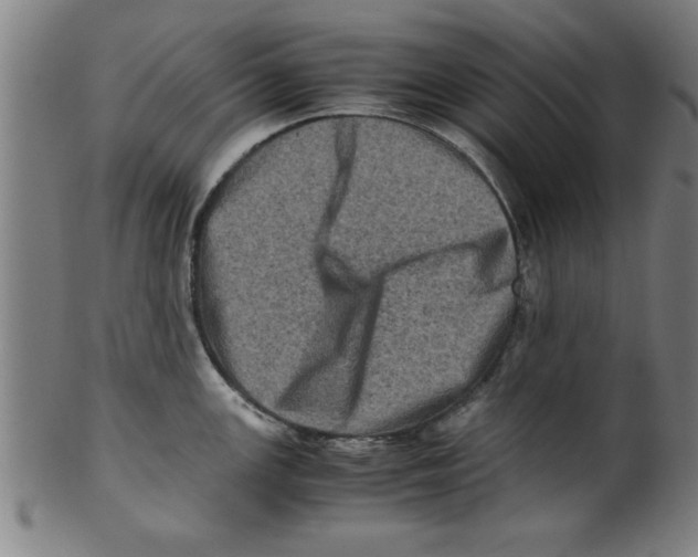 X0000099471147200806061214