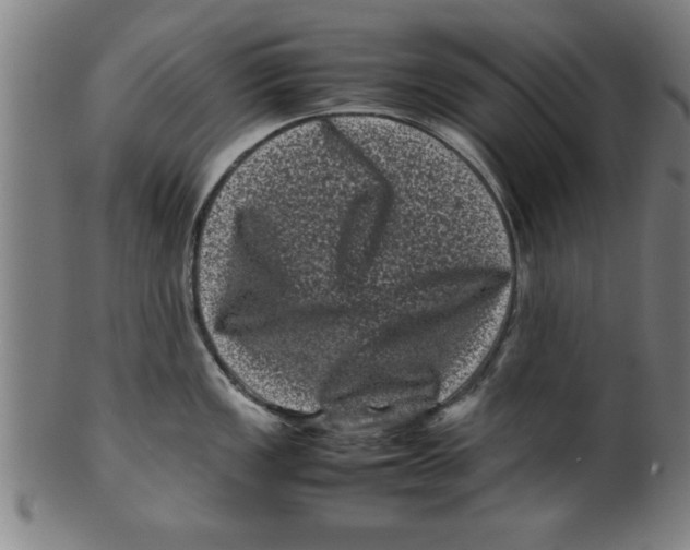 X0000099471149200806061214