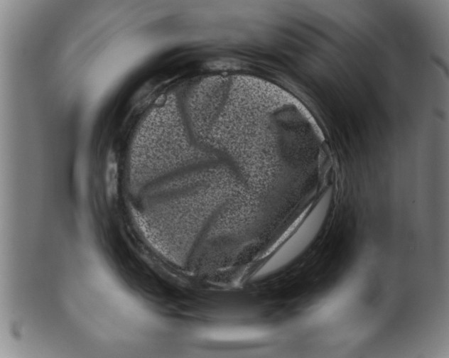 X0000099471151200806061214