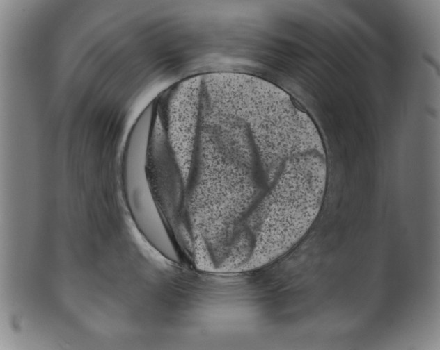 X0000099471152200806061214