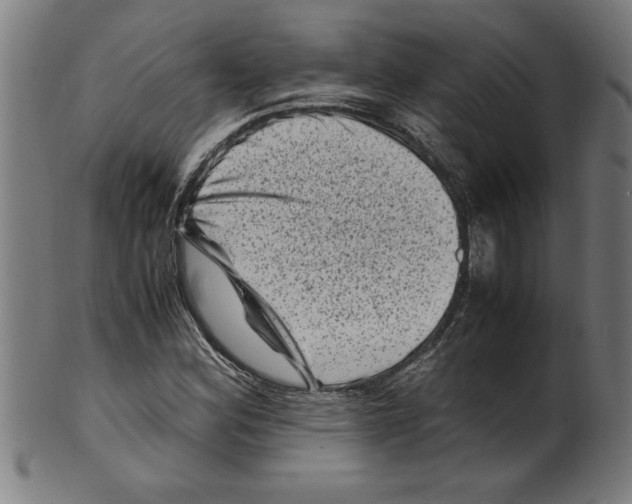 X0000099471164200806061213