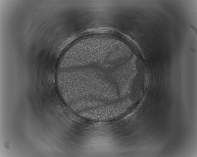 X0000099471166200806061213