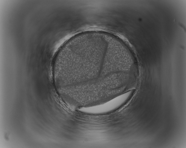 X0000099471167200806061213