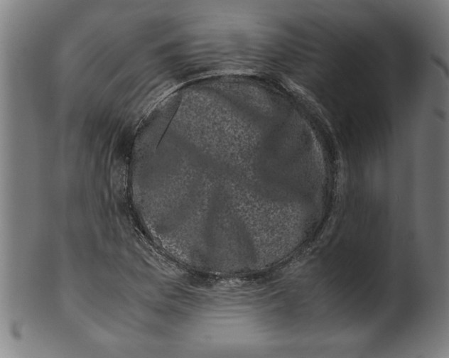 X0000099471169200806061213