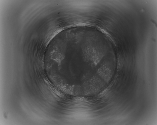 X0000099471170200806061213