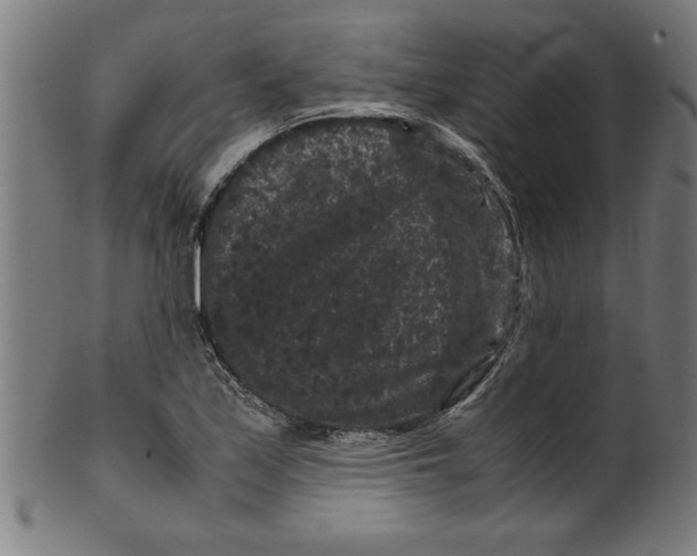 X0000099471171200806061213