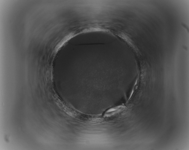 X0000099471173200806061213