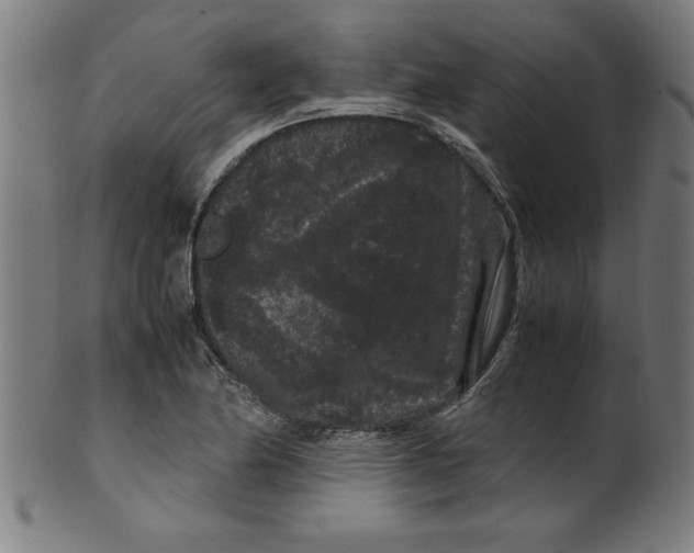 X0000099471174200806061213