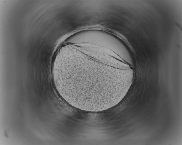 X0000099471176200806061213