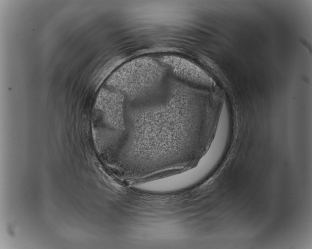 X0000099471177200806061213