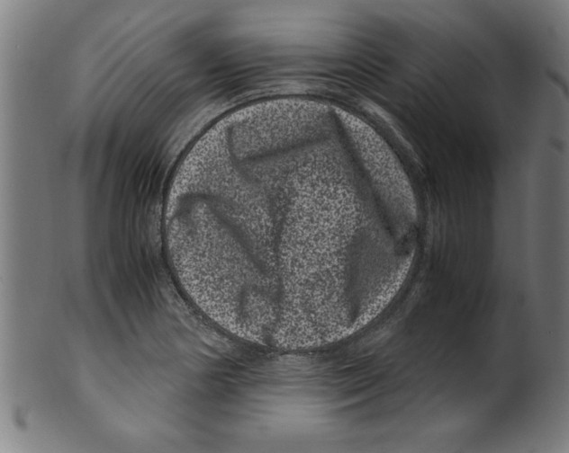 X0000099471178200806061212