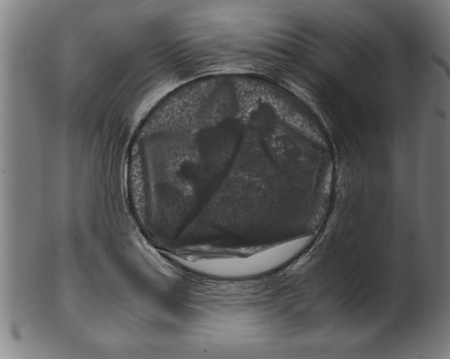 X0000099471179200806061212