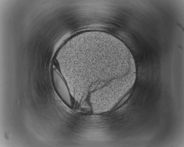 X0000099471180200806061212