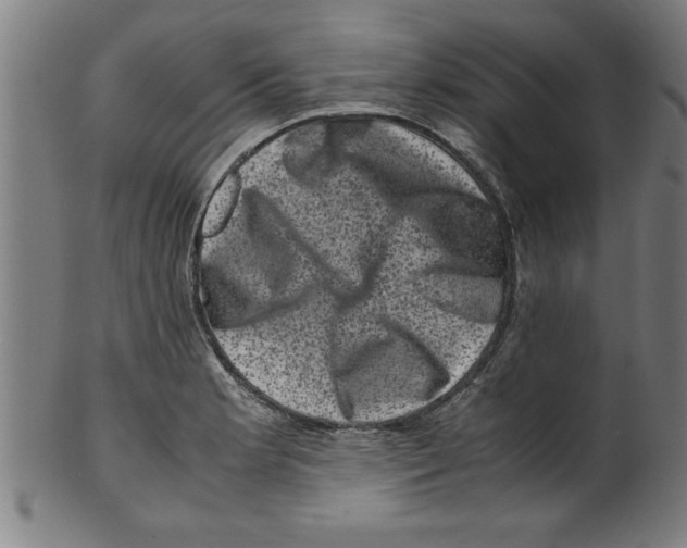 X0000099471181200806061212