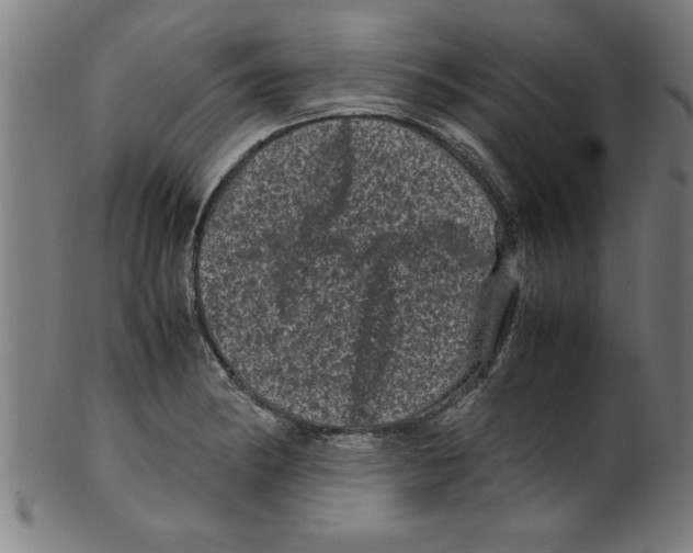 X0000099471182200806061212