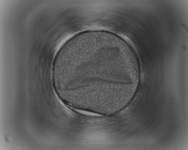 X0000099471183200806061212