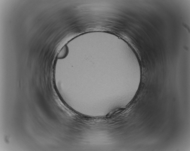 X0000099471187200806061212