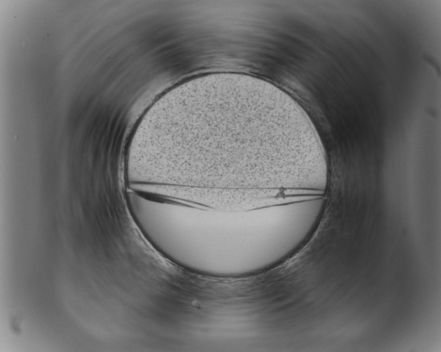 X0000099471188200806061212