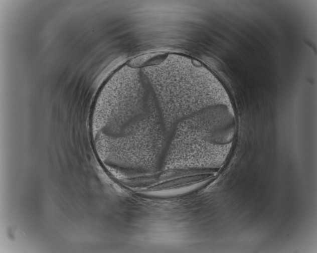 X0000099471189200806061212