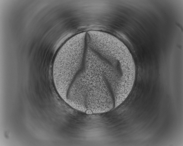 X0000099471190200806061212