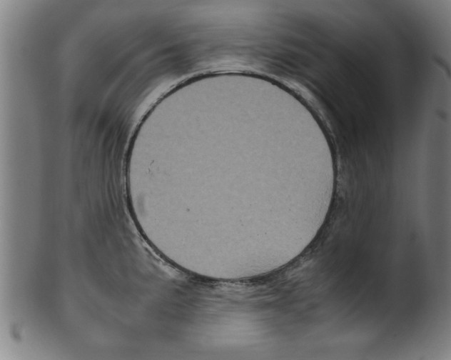 X0000099471191200806061212