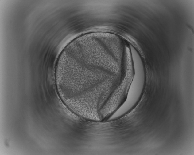 X0000099471192200806061212