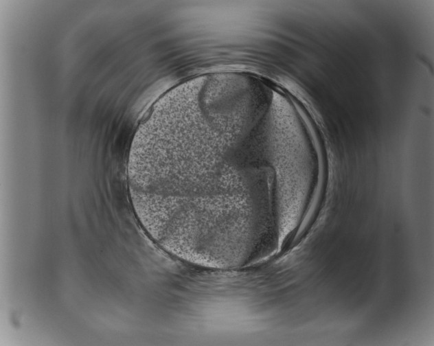 X0000099471193200806061212