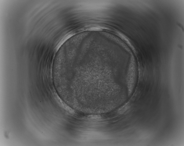 X0000099471194200806061212