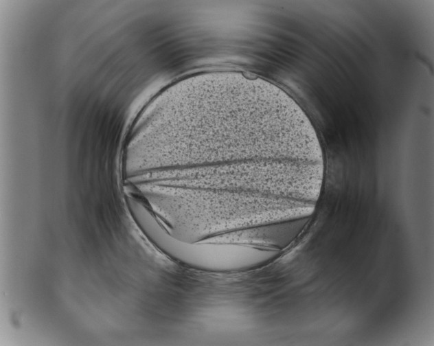 X0000099471196200806061212