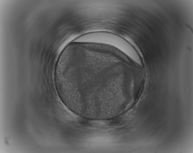 X0000099471197200806061212