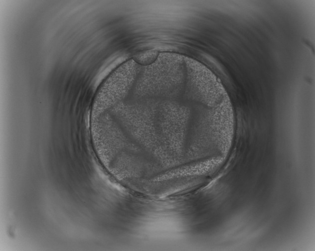 X0000099471198200806061212