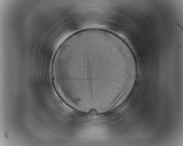 X0000099471199200806061212