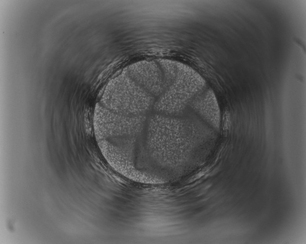 X0000099471202200806061211