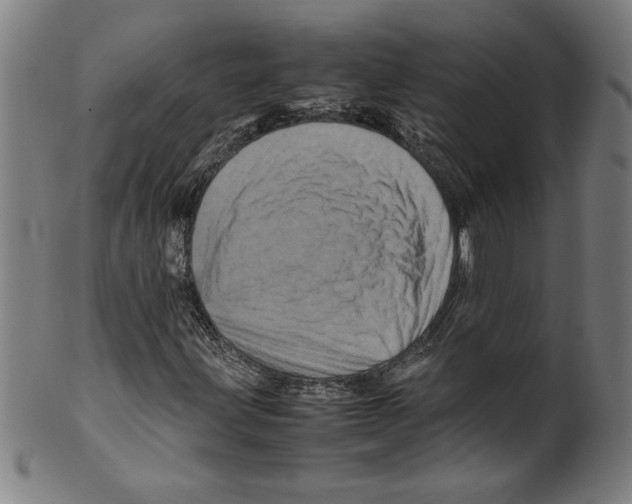 X0000099471203200806061211