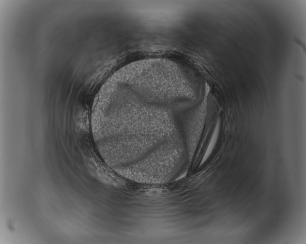 X0000099471204200806061211