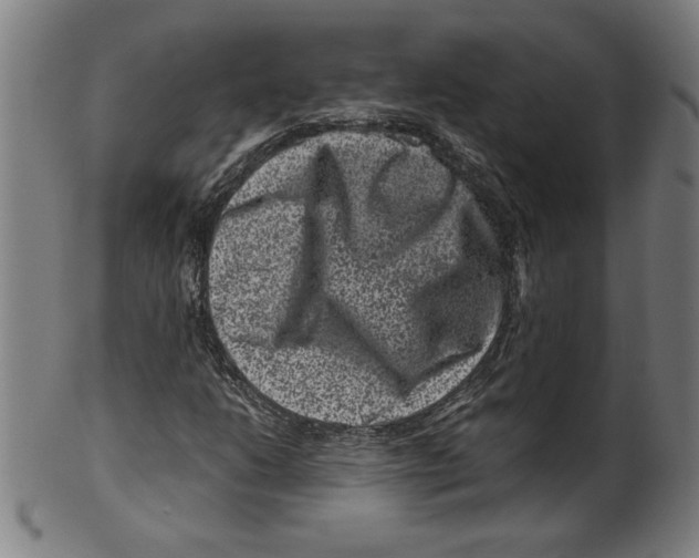 X0000099471206200806061211