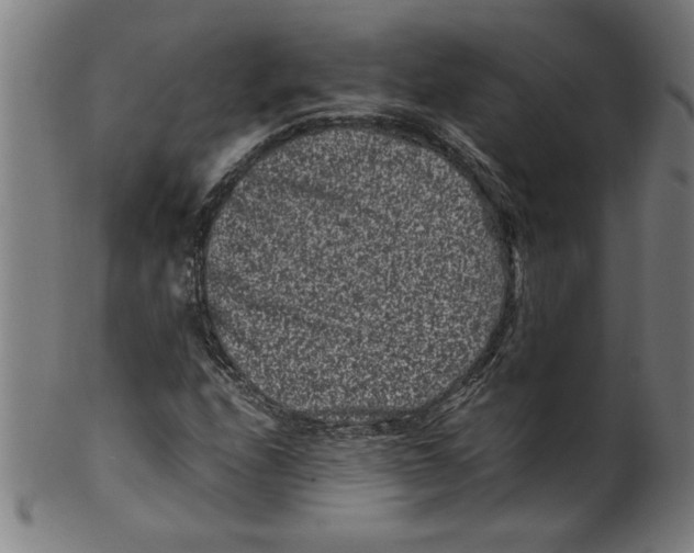 X0000099471208200806061212