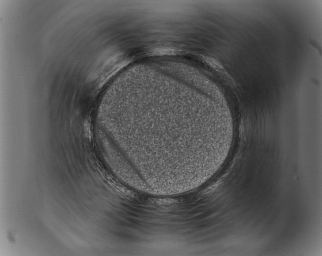 X0000099471209200806061212