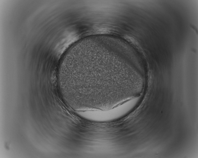 X0000099471210200806061212