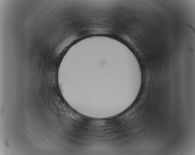 X0000099471211200806061212