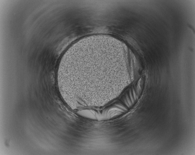 X0000099471212200806061212