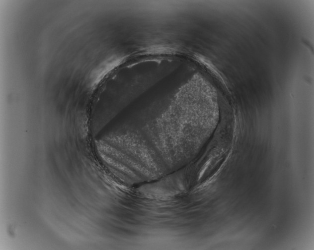 X0000099471213200806061212