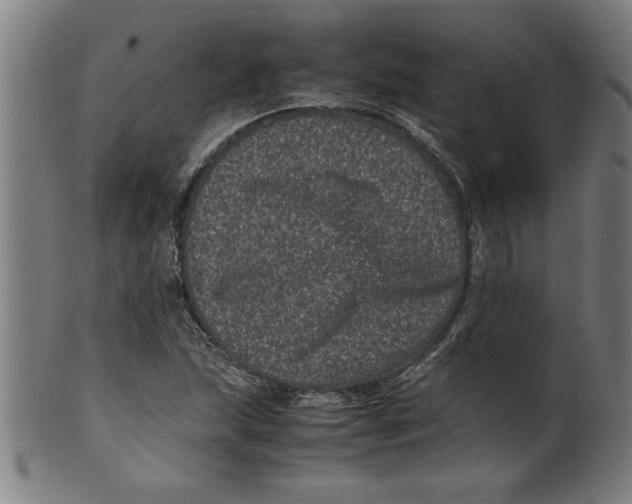 X0000099471215200806061212