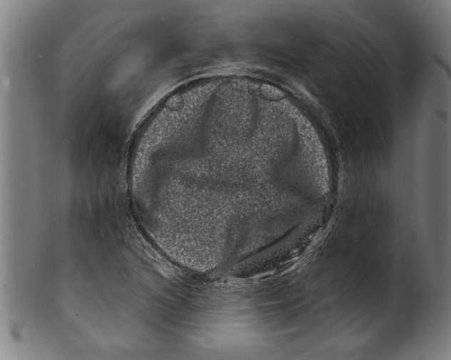 X0000099471216200806061212