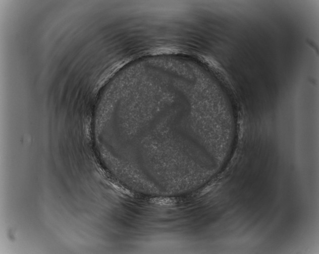 X0000099471217200806061212