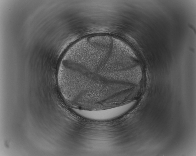 X0000099471218200806061212